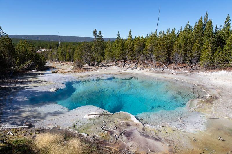 Yellowstone: A Brief Update on the Park’s Importance and Challenges