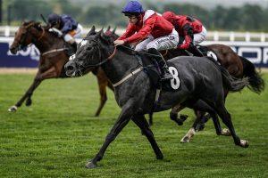 Horse Racing Today: Key Trends, Coverage and Welfare - horse racing today 25