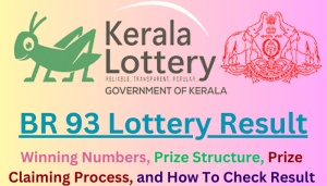 How the Online Lottery Is Transforming Play and Regulation - online lottery 93