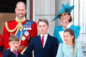 Prince William: Public Role and Significance - prince william 49