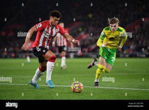 Southampton vs Norwich City: Match Preview and What to Watch - southampton vs norwich city 2